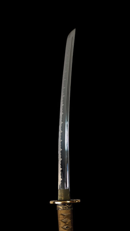 Daishō Unkai - iaito katana et wakizashi Bo-hi