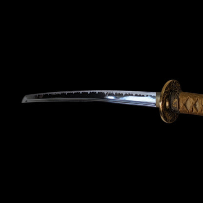 Daishō Unkai - iaito katana et wakizashi Bo-hi