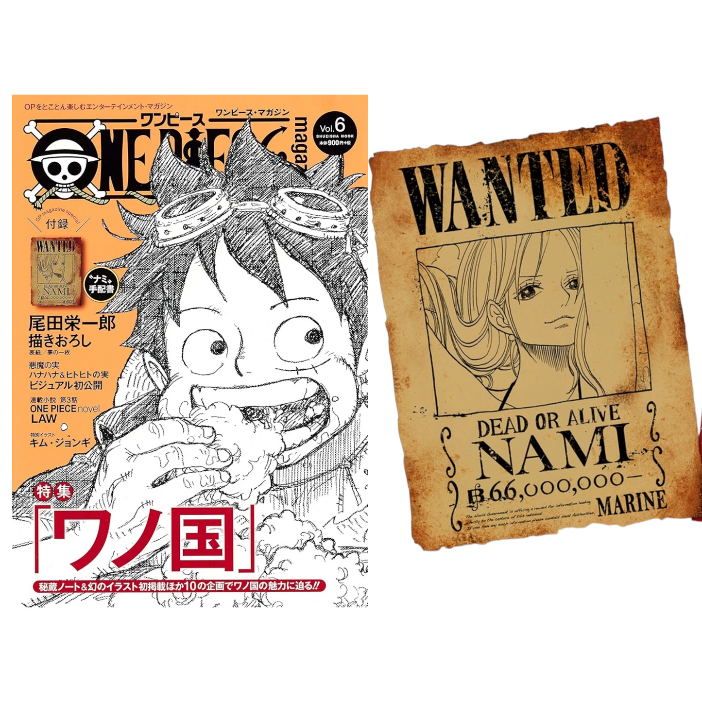 One piece magazine Vol 6 avec son poster Wanted Nami