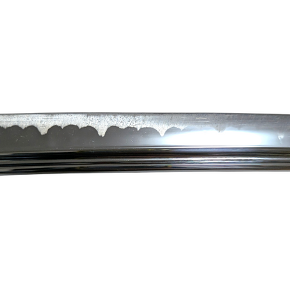 Daishō Unkai - iaito katana et wakizashi Bo-hi